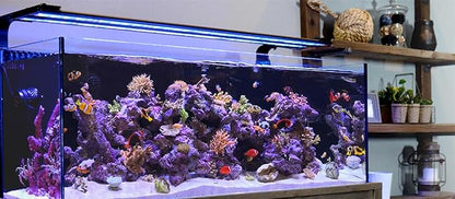 CURRENT USA 72" Inch Orbit Marine IC LOOP LED Saltwater Reef Marine Aquarium Light with Bluetooth App Control | Wireless Lighting & eFlux Wave Pump Control for Fish Tank (4208)