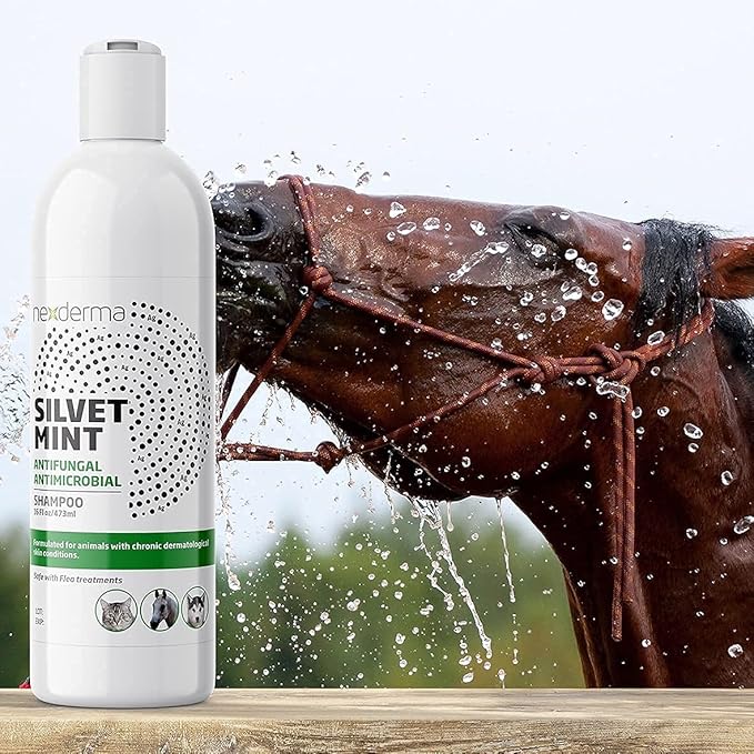 Natural Colloidal Medicated Pet Shampoo for Dogs and Cats - Tearless Hypoallergenic, Soap Free with Coconut Oil and Mint, Relief for Allergies, Odor, Itchy, Dry, Irritated Skin - 16oz, 1Pack