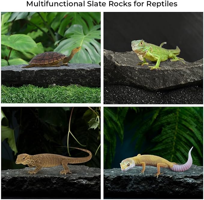 6 Natural Aquarium Rocks 6" to 8" Perfect Rocks for Aquariums, Landscaping Model,Tank Decoration, Amphibian Enclosures-Slate Rocks