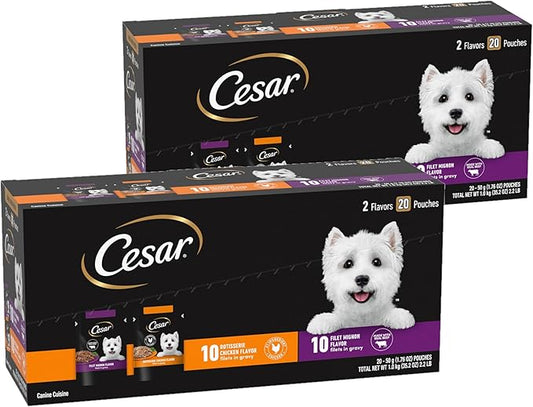 Cesar Filets in Gravy Wet Dog Food Filet Mignon Flavor and Rotisserie Chicken Flavor Variety Pack, 1.76 oz. Mini-Pouches, 20 Pack (Pack of 2)