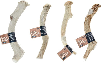 Amazon Brand  Wag Dog Deer Antler Chew, Naturally Shed, Whole, 910.5 inches, X-Large (Best for Dogs Over 45 lbs) (Pack of 4)