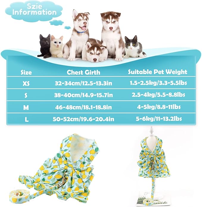 Dora Bridal 2 Pack Dog Dress Harness Vest with Leash, No Pull Cat Small Medium Girl Pet Floral Harness Leash Set, Cute Puppy Fruit Outfit Clothes with Bow, Mesh Princess Costume for Outdoor Walking
