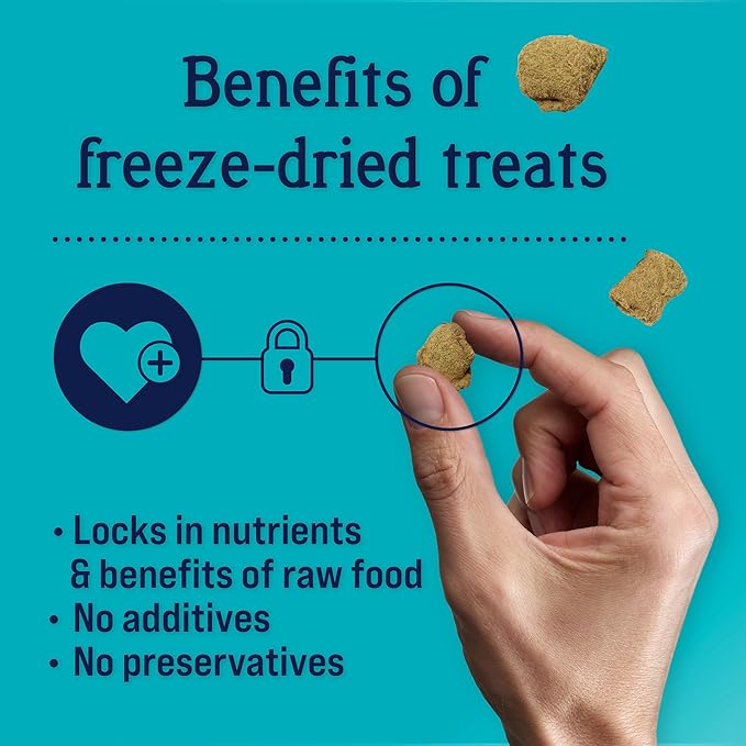 Stewart Freeze Dried Dog Treats, Zen Beef & Pumpkin, Anxiety Relief, Grain Free, 8 Ounce Resealable Pouch, Made in USA