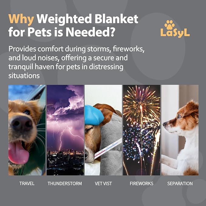 LaSyL Weighted Blanket for Pets | Thunder Blanket for Dogs Anxiety | Premium Soft Minky | Relaxation & Calming & Anti Anxiety | Used in Car, Bed, Couch | Dark Grey, Washable Small 32" L x 24" W