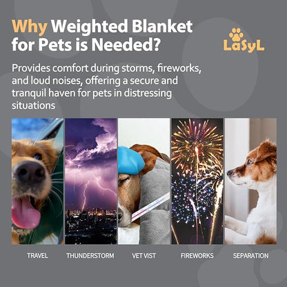 LaSyL Weighted Blanket for Pets | Thunder Blanket for Dogs Anxiety | Premium Soft Minky | Relaxation & Calming & Anti Anxiety | Used in Car, Bed, Couch | Dark Grey, Washable Small 32" L x 24" W