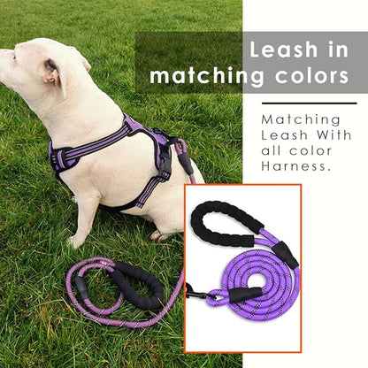 Dog Harness and Leash Duo, No Pull Vest Harness with 5 Ft Leash, Soft padded Vest, No-Choke Oxford Pet Harness, Easy Control Handle and Adjustable Pet Harness (Blue, Medium)