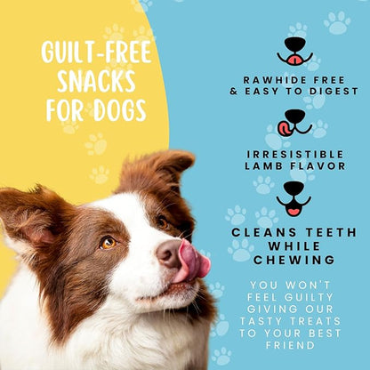 Hotspot Pets Premium Raw Dehydrated Single Ingredient Lamb Lung Dog Treats - 1lb Big Bag All-Natural, Made in USA - High Protein, Low Fat - A Rawhide Alternative for All Dogs