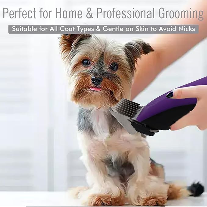 8 Pieces Professional A5 Style Animal Clipper Stainless Steel Color-Coded Snap-on Attachment Guard Guide Combs Set, 1/8"-1" Compatible with Wahl KM Series Oster A5 Andis Detachable Blade Pet Groomers