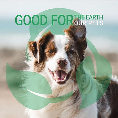 Green Groom Green Clean Dog Shampoo, 1 Gallon - Plant Based Ingredients, 50:1 Concentrated, Moisturizes Dry Itchy Sensitive Skin, Antioxidant Rich, Professional Grade