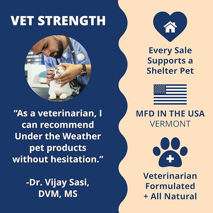 Under the Weather Pet Electrolytes Ready Cal Plus Gel for Cats | Vet-Formulated High-Calorie Supplement for Cats & Kittens | Promotes Weight Gain & Boosts Energy for Sick Felines | 3.5 Oz Tube Pack