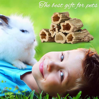 Abizoo Natural Bunny Chew Toys,6 Pcs Organic Papaya Wood Sticks Chew Toys for Rabbit,Hamster,Guinea Pig,Chinchilla,Gerbil,Rat Healthy Chews Teeth Grinding Treats, Squirrel Molar Snack