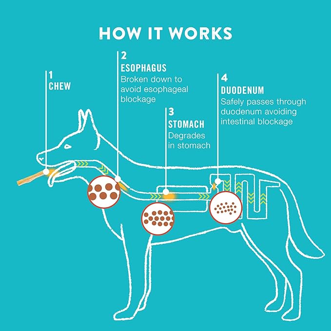 TRURANCH Collagen Rolls - 6" Collagen Rolls for Dogs - Long Lasting Healthy Joint Support - Rawhide Alternative - Skin & Coat Health - Made with Real Peanut Butter, Value Pack, 3 Bags, 12 Count