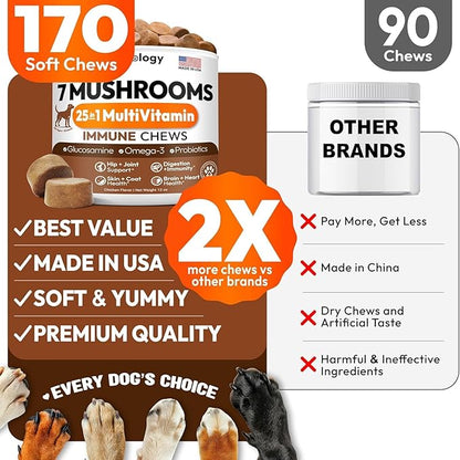 Turkey Tail Mushroom for Dogs - 170 Chews - Lion’s Mane - Shiitake - Reishi - Buddy Immune Support Guard - Mushroom Supplement for Dogs Lumps and Bumps Glucosamine, Health Vitamins Multivitamin