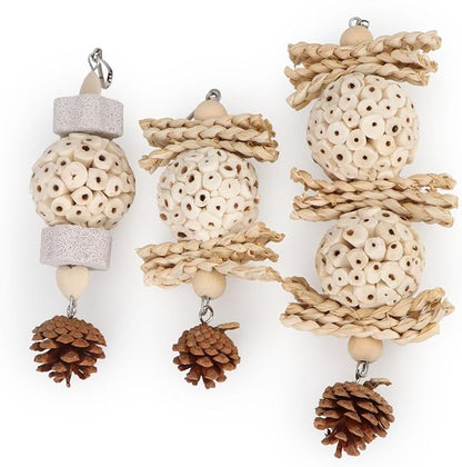 Wontee Bird Toys 3 Pack Parrot Foraging Hanging Toys Sola Ball Natural Nuts Chew Toys for Cockatiels Conures Parakeets Budgies Senegal (3 Pack)