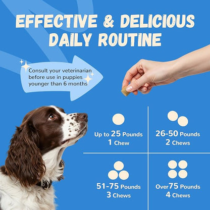 Furrolika Hip and Joint Supplement for Dogs – Made in The USA – Glucosamine, Chondroitin, MSM, Vitamin C – Chewable Joint Support for Mobility & Comfort – Beef Flavor – 60 Soft Chews