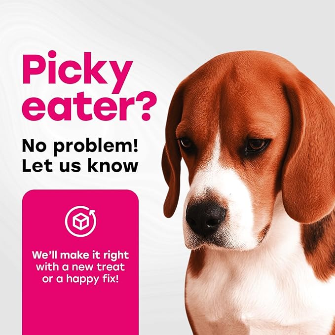 24-in-1 Complete Daily Dog Multivitamin Chews  Beef Flavor  All-in-One Support for Joints, Skin, Coat, Digestion & Immunity with Glucosamine & Omega-3 (140 Chews)