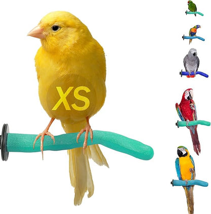 Sweet Feet & Beak Safety Pumice Bird Perch, X-Small 1/2" X 6", Green - Lightweight Grinding Bird Perches for Cage - Bird Nail Trimming Perch for Healthy Beak & Feet - Multi-Size & Color Parrot Stand