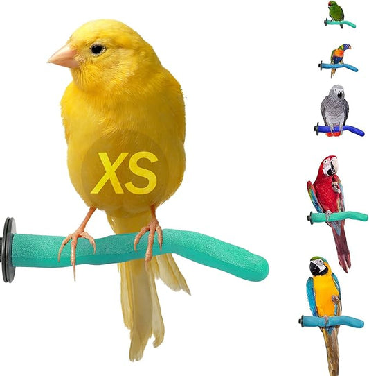 Sweet Feet & Beak Safety Pumice Bird Perch, X-Small 1/2" X 6", Green - Lightweight Grinding Bird Perches for Cage - Bird Nail Trimming Perch for Healthy Beak & Feet - Multi-Size & Color Parrot Stand