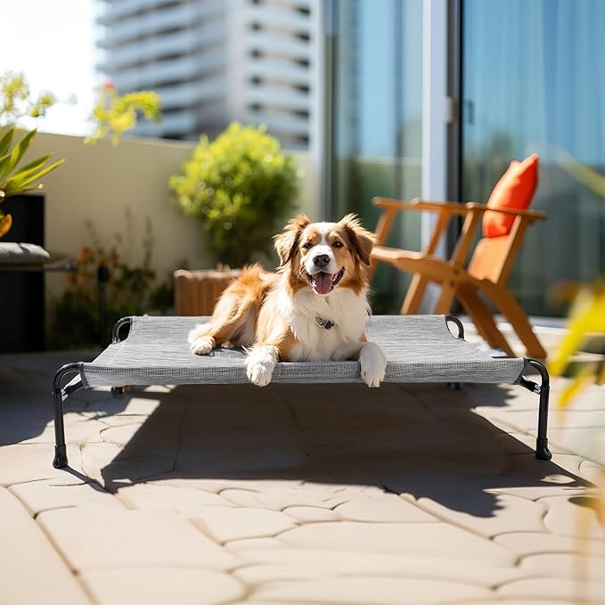 Veehoo Cooling Elevated Dog Bed, Raised Dog Beds for Large Dogs, Outdoor Dog Bed with Guardrail, Upgraded Non-Slip Feet, Breathable Teslin Mesh, Portable Camping Dog Cot, Large, Black Silver, CWC2404