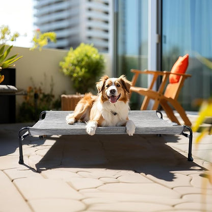 Veehoo Cooling Elevated Dog Bed, Raised Dog Beds for Large Dogs, Outdoor Dog Bed with Guardrail, Upgraded Non-Slip Feet, Breathable Teslin Mesh, Portable Camping Dog Cot, Large, Black Silver, CWC2404