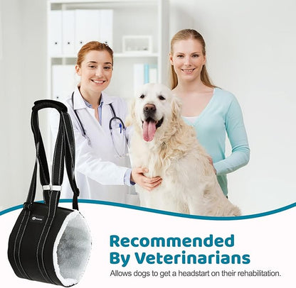20-130 lbs Dog Lift Harness, Dog Sling for Large Dogs Hind Leg Support, Dog Support Harness for Back Legs, Help Lift Rear for Canine, Up and Down Stairs, Canine Aid (Large) Black