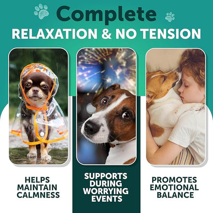 Hemp Calming Chews for Dogs - Dog Calming Chews - Dog Anxiety Relief Treats with Hemp Oil, Turmeric, Valerian, Ginger - Health and Wellness Supplements for Dogs - Hip and Joint Support - 70 Treats