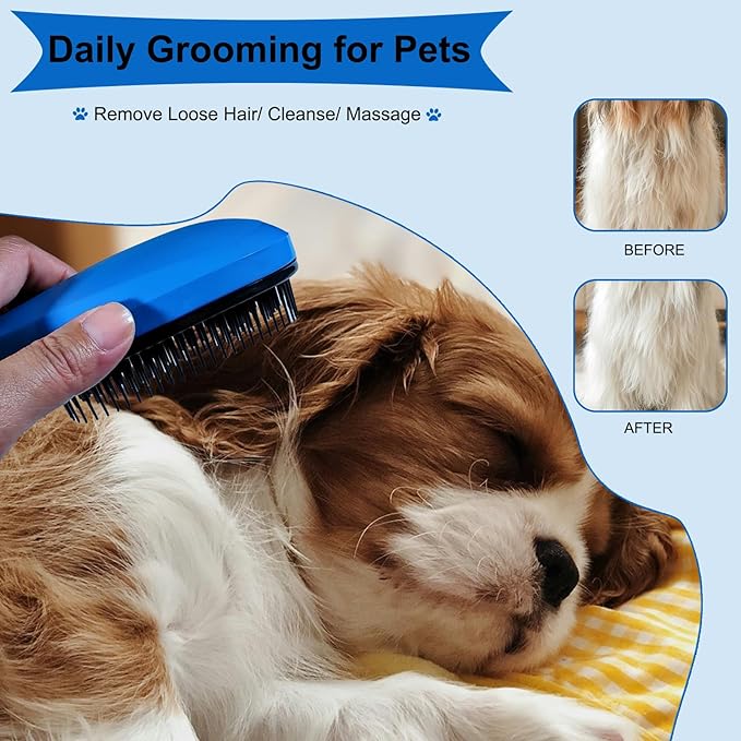 3 PCS Puppy Brush Grooming Kit, Stainless Steel Flea Comb, Fit for Yorkie, Shih Tzu, Maltipoo, Soft Bristle (Blue)