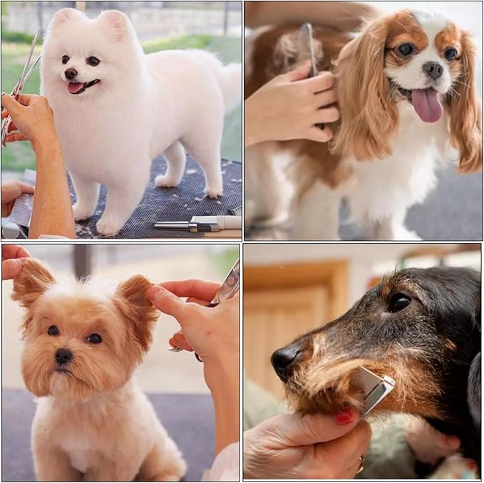 7PCS Dog Grooming Scissors Kit Professional Curved Dog Scissors for Grooming Safety Round Tip 4CR Coated Stainless Steel Heavy Duty Thinning Pet Shears Set for Dogs Cats