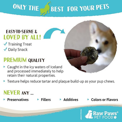 Raw Paws Cod Skin Rolls for Dogs, 5-oz  Icelandic Cod Skins for Dogs - Fish Skins for Dogs - Fish Skin Chews for Dogs - Cod Skin Dog Treats - Cod Treats for Dogs - Dried Fish Dog Treats - Fish Treats