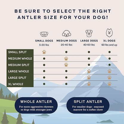 Good Trouble Pets Premium Elk Antlers for Medium Dogs - All-Natural, Shed Antler Chews for Dental Health & Calming - Durable Dog Bones for Aggressive Chewers - Cruelty-Free, North American Sourced