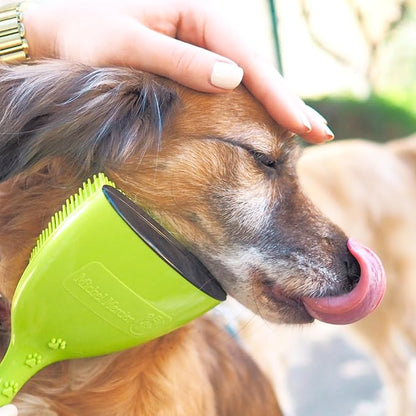 Michel Mercier Grooming Brush -Pet Brush Dog and Cat Brush for Shedding Grooming Pet Hair Brush for Long/Short Haired - Free Tick Remover Tool Included (Fine & Regular Coat)