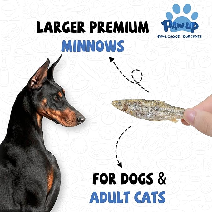 Freeze Dried Minnows Dogs Treats  100% Raw Single-Ingredient Pet Fish Snacks  Rich in Omega-3, Grain-Free  Healthy Training Rewards & Meal Toppers, 2.8 oz