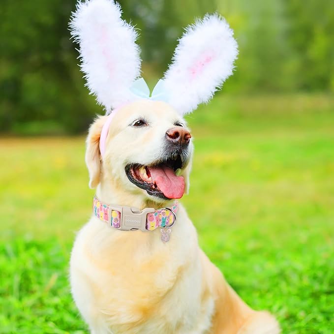 DOGWONG Easter Bunny Eggs Adjustable Soft Dog Collar for Small Dog