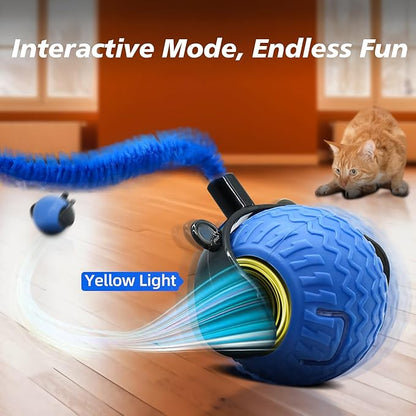 2Pcs Interactive Cat Toy for Indoor Cats, Speedy Ball with Tail, Automatic Moving Cat Balls for Bored Indoor Adult Cats, 360°Automatic Rolling Ball Toy, Two Speed Adjustment（Orange&Blue）