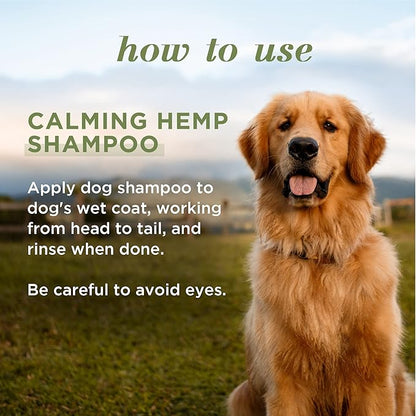 Burt's Bees for Pets Calming Dog Shampoo With Hemp Seed Oil and Lavender - 95% Natural Origin Formula, Gentle and Best for Dogs, 16 oz