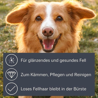 Alcott Bamboo Groom Slicker Brush with Stainless Steel Pins for Pets, Small,Black