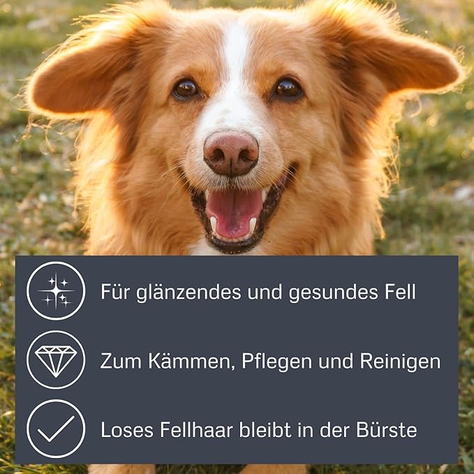 alcott Bamboo Groom Slicker Brush with Stainless Steel Pins for Pets, Medium,Brown