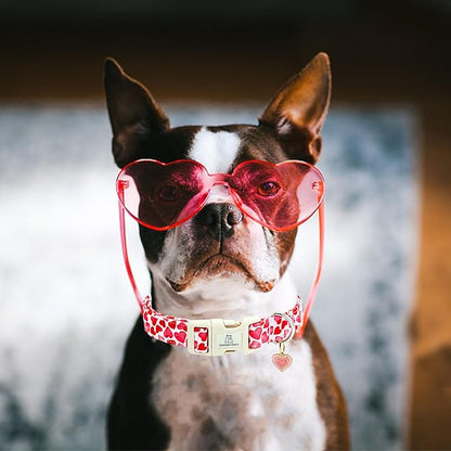 Lionheart glory Valentine's Day Collar, Red Hearts Dog Collar for Small Cute Dog Collars Spring Female Pet Gift Adjustable Heavy-Duty Holiday Dog Collar Plastic Buckle