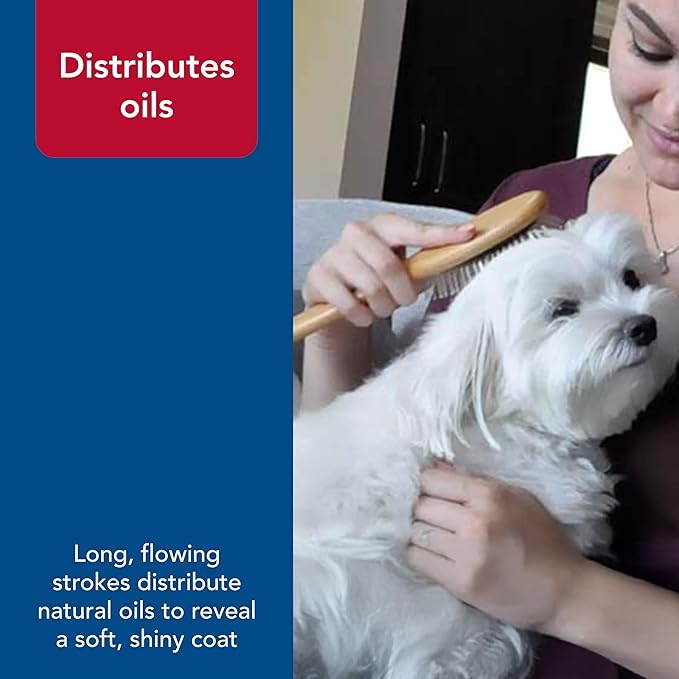 Coastal Pet Safari Wire Pin Dog Brush with Bamboo Handle - Large - General Dog Grooming Brush for Short and Long Hair - Eco-Friendly Handle