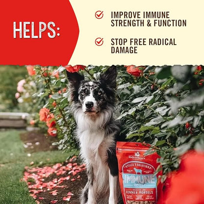 Stella & Chewy's Stella's Solutions Immune Boost Grass-Fed Lamb Dinner Morsels Freeze-Dried Raw Dog Food, 13 oz.