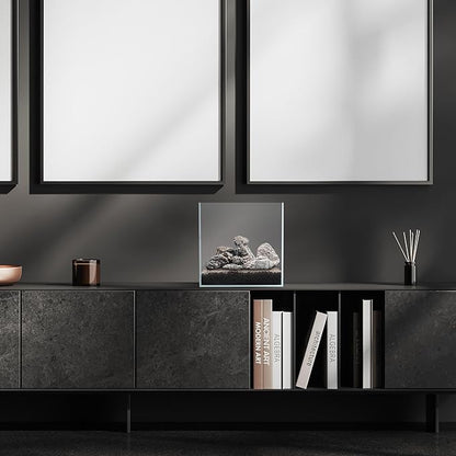 SubstrateSource Natural Stone for Aquarium, Terrarium, Paludarium, Reptile Enclosures - Set of Decorative Rocks for Landcapes, Aquascaping, Fish Tank Decor (Rhino Stone, 10 Pounds)