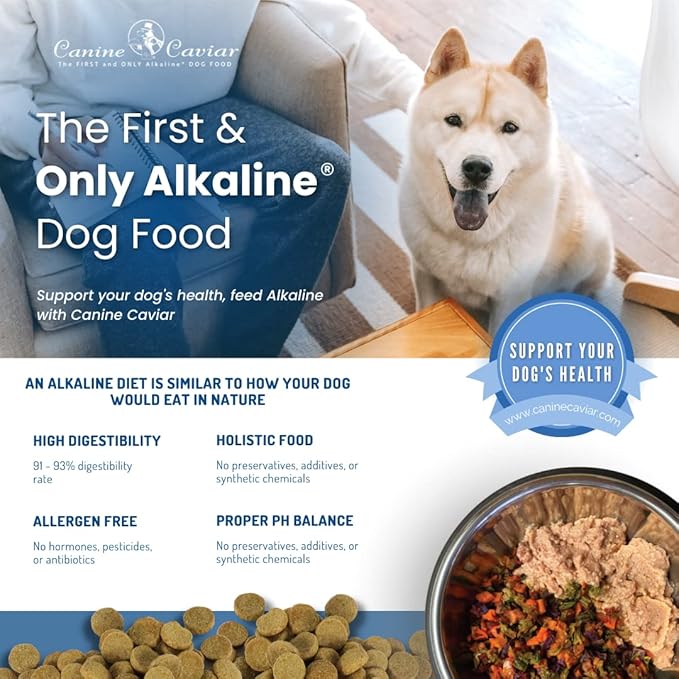 Canine Caviar Open Range Dog Food | Limited Ingredient Alkaline Holistic Dog Food  All Life Stages | Gluten Free, Ultra-Premium Dog Food | Healthy Skin & Coat | Buffalo & Chickpea  4.4 lbs