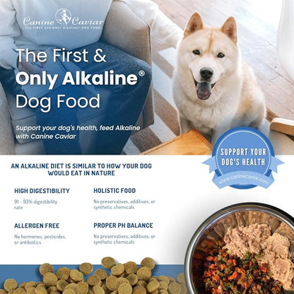 Canine Caviar Open Range Dog Food | Limited Ingredient Alkaline Holistic Dog Food  All Life Stages | Gluten Free, Ultra-Premium Dog Food | Healthy Skin & Coat | Buffalo & Chickpea  4.4 lbs