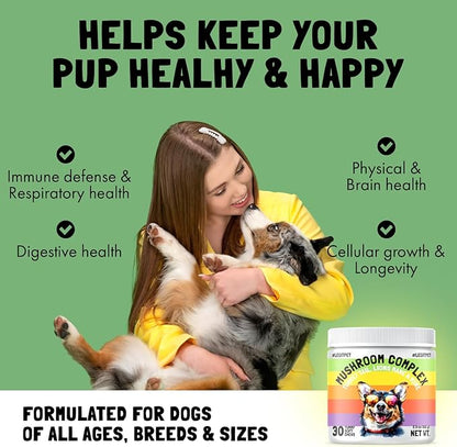 Mushroom Complex Treats for Dogs with Reishi, Shiitake, and Turkey Tail Mushrooms for Cognition and Immune Boosting Supports Digestive Health and Reduces Inflammation DHA EPA Turmeric Kelp 30 Chews