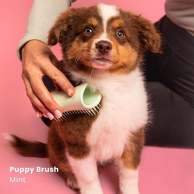 Pet Teezer by Tangle Teezer Puppy Essential Dog Brush, with Extra Soft Teeth for Gentle Grooming on Wet or Dry Fur, Mint