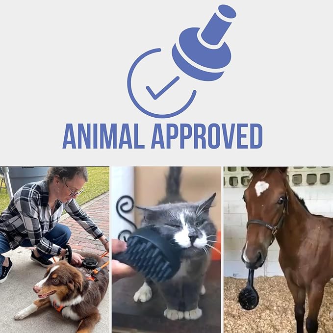 Curry on a Stik' - Dog Brush for Shedding, Grooming, Bathing, & Therapeutic Massage Tool - For Long & Short Haired Dogs - Decreases Shedding & Increases Coat Health - Veterinarian Approved - Ergonomic