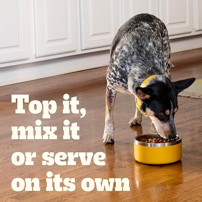 Pedigree Choice Cuts in Gravy Wet Dog Food 8-Count Variety Pack, 3.5 oz. Pouches (Pack of 2)