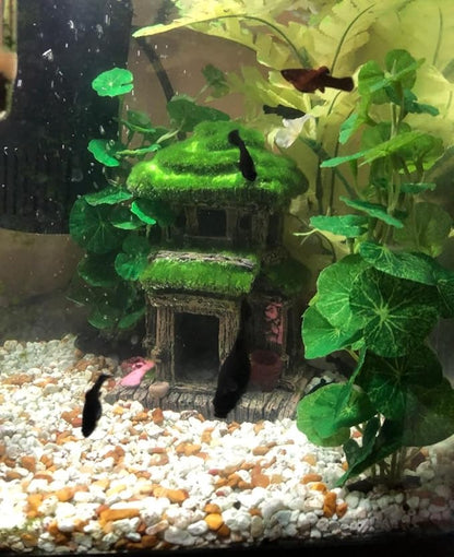 Fish House - Aquarium Decoration with Lifelike Moss, Comes with 2x Artificial Plants