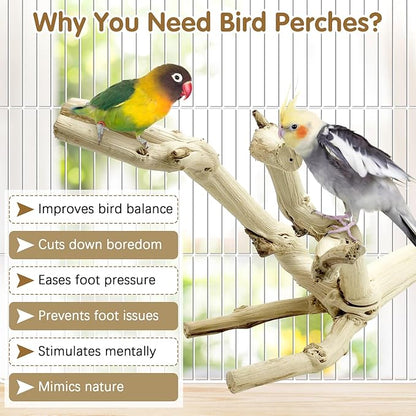 kathson Bird Perch Stand 11.8" Nature Wood Stand Toy Parrot Cage Branch Paw Grinding Fork Parakeet Platform for Parakeets Cockatiels Conures Finches Love Birds
