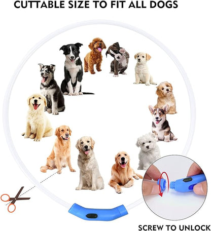 LED Dog Collar, Rechargeable Light Up Dog Collars,IP67 Waterproof Dog Lights for Night Walkingï¼_djustable, Reusable Safety Necklace for Small Medium Large Dogs(Blue)